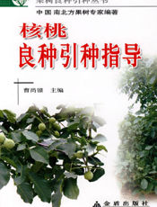 核桃良种引种指导