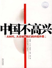 中国不高兴-宋晓军
