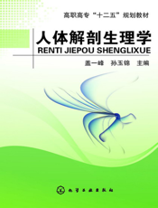 人体解剖生理学