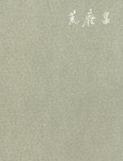 荒废集 - 陈丹青