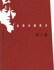 从异乡到异乡：萧红传 - 叶君