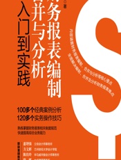 财务报表编制、合并与分析从入门到实践 - 王鹰武