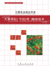 中宁县大果枸杞(宁杞3号)栽培技术与推广