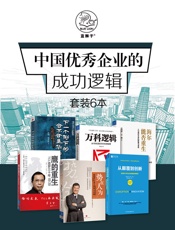 中国优秀企业的成功逻辑