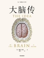 大脑传