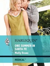 One Summer in Santa Fe - Molly Evans