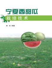 宁夏西甜瓜栽培技术