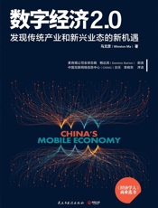 数字经济2.0