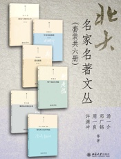 北大名家名著文丛
