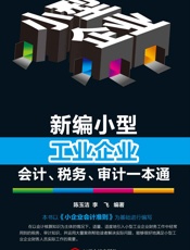 新编小型工业企业会计、税务、审计一本通