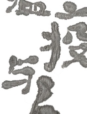 瘟疫与人 - [美]威廉·麦克尼尔