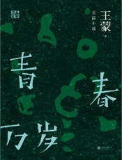 王蒙精选集：青春万岁 - 王蒙