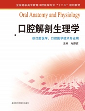 口腔解剖生理学