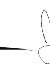 从1到N：企业如何实现持续高速增长