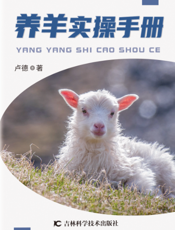 养羊实操手册