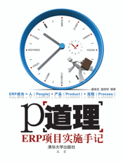 P道理——ERP项目实施手记