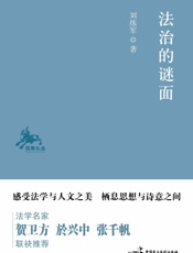 法治的谜面
