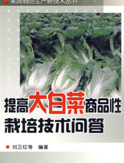 提高大白菜商品性栽培技术问答