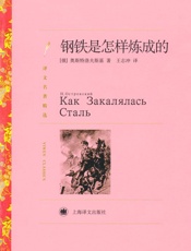 钢铁是怎样炼成的(译文名著精选) - 尼古拉·奥斯特洛夫斯基 (Nikolai Ostrovsky)