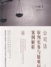 公司法审判实务与疑难问题案例解析 - 王东敏