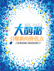 大数据：引爆新的价值点