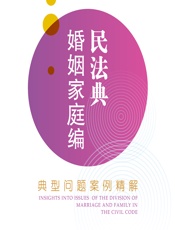 民法典婚姻家庭编典型问题案例精解 - 王丹丹