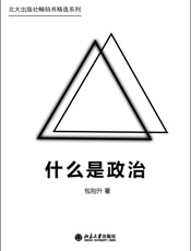 北大出版社畅销书精选系列：什么是政治