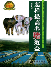 怎样提高养猪效益