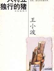王小波--一只特立独行的猪