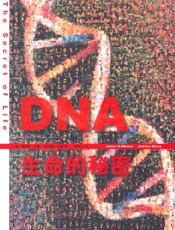 DNA_生命的秘密