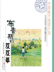 布鲁斯的芨芨草