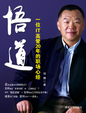 悟道：一位IT高管20年的职场心经