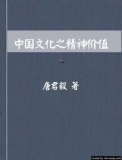 中国文化之精神价值