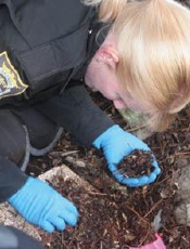 Imperfect Justice - Jeff Ashton