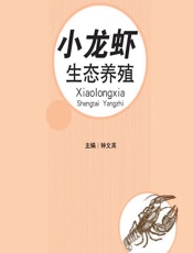 小龙虾生态养殖 - 钟文英