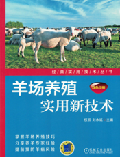 羊场养殖实用新技术