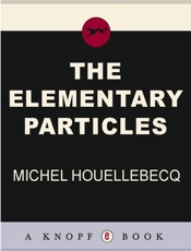 Elementary Particles, The - Michel Houellebecq
