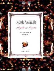天使与昆虫