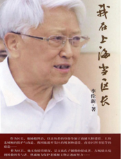 我在上海当区长