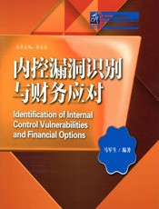 内控漏洞识别与财务对应 - 马军生