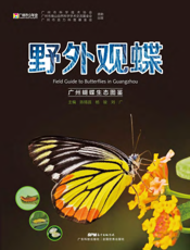 野外观蝶——广州蝴蝶生态图鉴