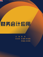财务会计应用
