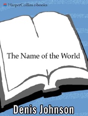 The Name of the World - Denis Johnson