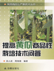 提高黄瓜商品性栽培技术问答