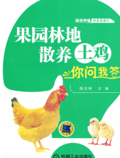 果园林地散养土鸡你问我答