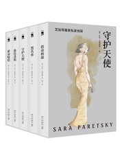 守护天使——芝加哥首席女侦探精选集