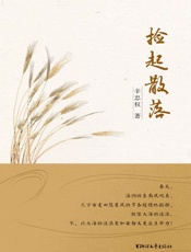 捡起散落 - 辛忠权