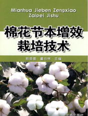 棉花节本增效栽培技术