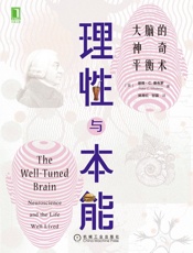 理性与本能：大脑的神奇平衡术