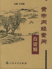 黄帝内经素问白话解-王洪图